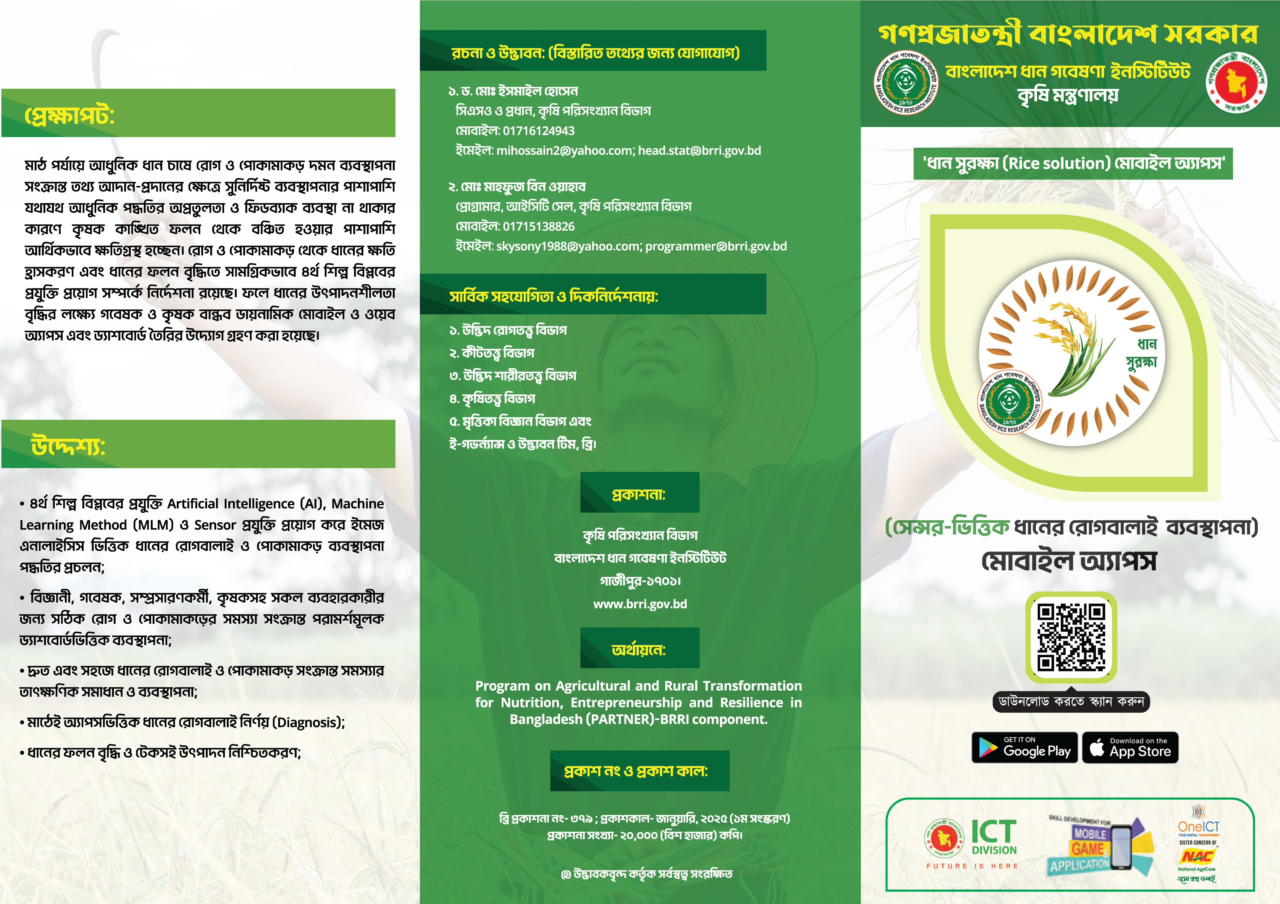Outer Leaflet